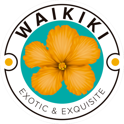 Waikiki | No es un Melón, Es un Fruto Exótico
