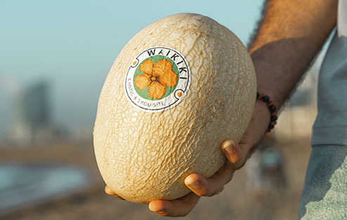 Melón que se produce todo el año de una forma respetuosa con el medio ambiente.