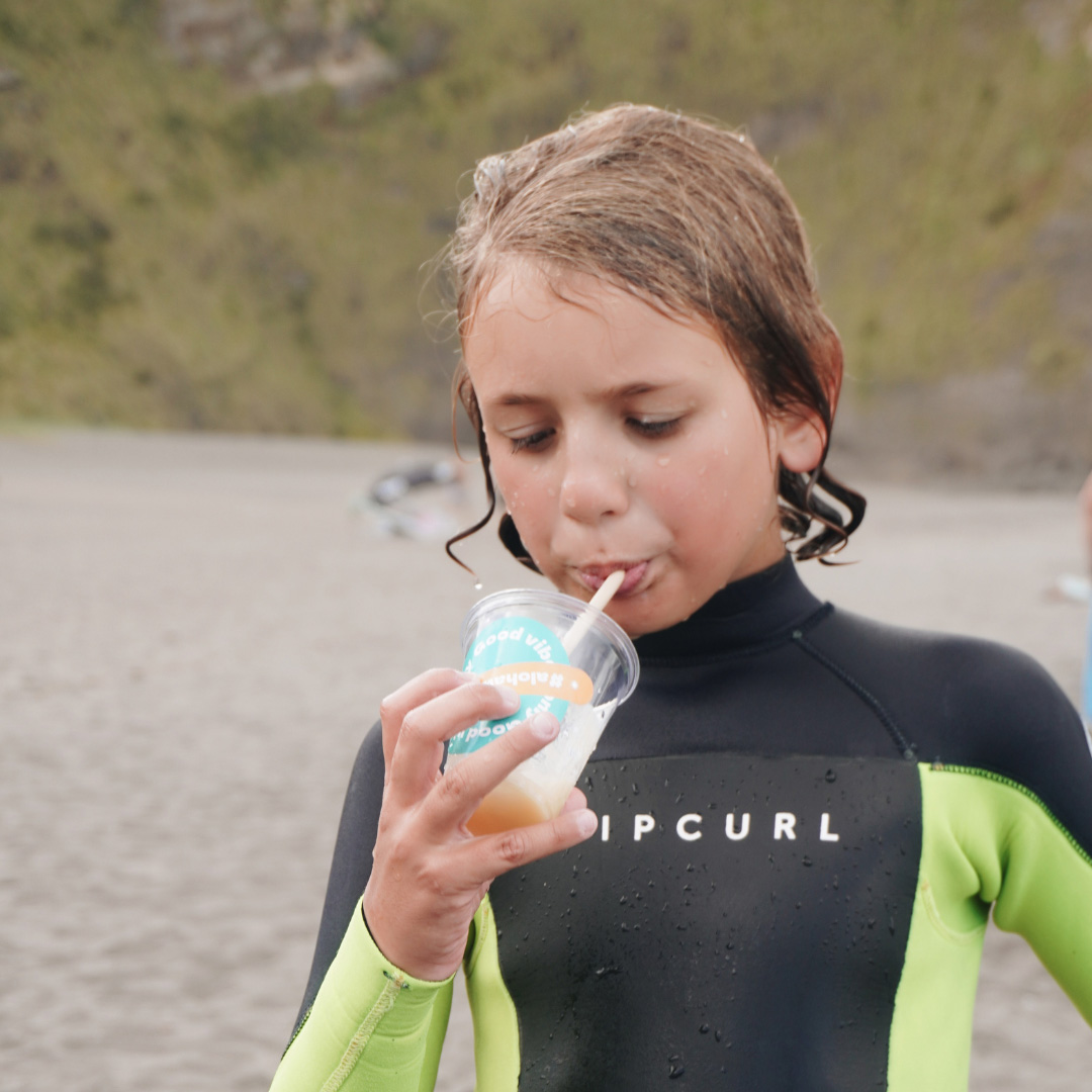 Galería fotos MEO - 4