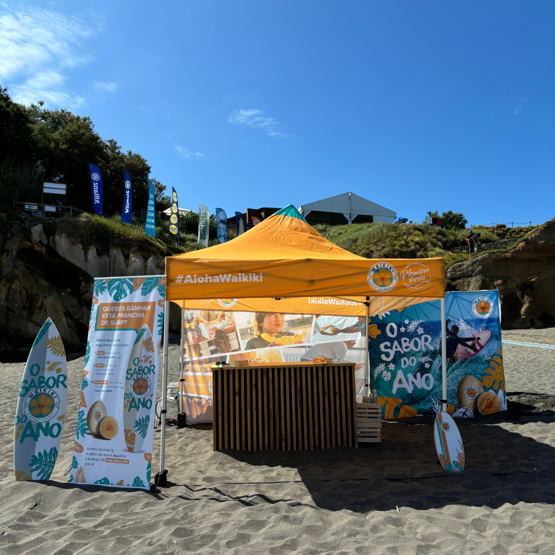 Galería fotos MEO - 9