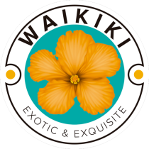 Logo Melón Waikiki